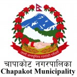 कोरोना महामारीका कारण चापाकोट नगरपालिकाका सम्पूर्ण सेवा बन्द