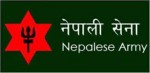बाढीपहिरो खोज र उद्धारमा सेना