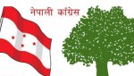 कांग्रेसको ५५ निर्वाचन क्षेत्रको क्रियाशील सदस्यता टुङ्गो लगाउन बाँकी