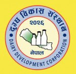 डिडिसीको ६० हजार लिटर घ्यू निर्यात