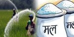 रासायनिक मलको माग बढ्दो, आपूर्ति घट्दो, मारमा किसान