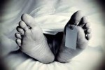 रकेट प्रहारबाट काबुलमा चार बालबालिकासहित छ को मृत्यु