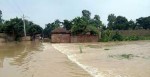 उपत्यकामा अविरल वर्षा : ३८५ घर डुबानमा, २४७ जनाको उद्धार