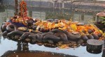 यसवर्ष बूढानीलकण्ठमा मेला लाग्ने