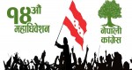 कांग्रेसको क्षेत्रीय कार्यसमितिमा  महिला नेतृत्व