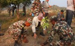 चुरे संरक्षणका लागि वृक्षरोपण