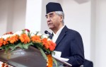 चुनावी अभियानबारे जानकारी दिन पत्रकार सम्मेलन गर्दै कांग्रेस
