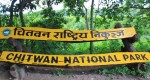 चितवन राष्ट्रिय निकुञ्ज बाह्रसिङ्गे र अर्ना विहीन