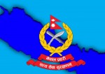 चोरीका घटनामा अधिकांश युवा संलग्न