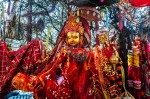  एक वर्षमा पाथीभरामा करिब चार करोड भेटी सङ्कलन