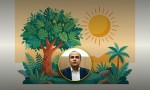 तराईमा ‘लू’को जोखिम, कसरी बच्ने ?