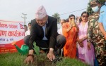 संविधान दिवसका अवसरमा वृक्षरोपण