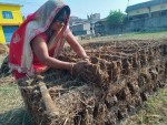 बर्खायामको इन्धन ‘गुइँठा’ को जोहो हिउँदमै