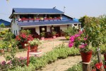 फूलैफूलले सजिएको माडीको अयोध्यामार्ग