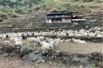 जुम्लामा १० करोड बढीका भेडा तथा खसीबोकाको कारोबार
