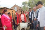 व्यावसायीकतामा जोड दिन किसानलाई बाख्रा उपहार