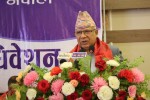 भ्रष्टाचारको नाङ्गो रुप देखियो : अध्यक्ष नेपाल