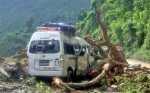  गुडिरहेको माइक्रो बसमाथि रुख ढल्दा नौ यात्रु घाइते