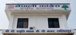 कांग्रेसले तनहुँमा भट्टराई र चितवनमा श्रेष्ठलाई उम्मेदवार बनाउने