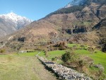 साइपालमा  खाद्य सङ्कट, सिंहदरबार नधाएर पुग्दैन चामल
