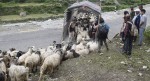 सहरको स्वादका लागि छुट्छ हिमालको दसैँ–तिहार