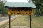मानव र वन्यजन्तुबीचको द्वन्द्व घटाउन सचेतना अभियान