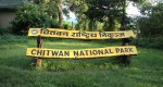 यसवर्ष चितवन राष्ट्रिय निकुञ्जमा आठ छावा थपिँदै