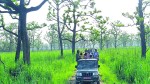 असार १५ देखि चितवन राष्ट्रिय निकुञ्जमा जिप सफारी बन्द हुने