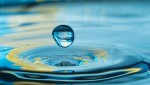 इन्डोनेसियामा १० औँ विश्व पानी सम्मेलन सुरू