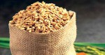 ‘धान बालीमा सघनता : खाद्य सुरक्षा र आत्मनिर्भरता’ भन्ने नाराका साथ धानको उत्पादन वृद्धि गरिँदै
