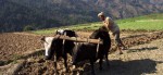 लमजुङमा हलोक्रान्ति दिवस मनाइँदै