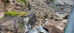  जयपृथ्वी राजमार्ग अवरूद्ध