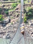  जाली लत्रिँदा १३ खच्चड कर्णालीको झोलुङ्गे पुलमा अड्किए