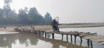 दुर्गमका गाथा: नदी तर्न काठे पुलकै भर, शुल्क तिर्नुपर्ने बाध्यता