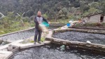  रेन्बो ट्राउट माछा बेचेर वार्षिक तीन करोड आम्दानी