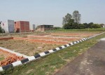 धान खेतीको क्षेत्रफल घट्दै