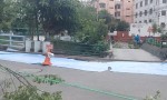  धोबीखोलाको बुद्धनगर–बबरमहल जोड्ने पुलमा आवागमन बन्द