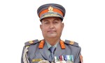 सशस्त्रको प्रवक्तामा न्यौपाने
