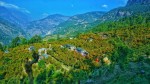  सडक बनाउन पर्वतको बाँसखर्कमा सुन्तला महोत्सव आयोजना