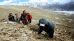 मनाङवासी यार्सागुम्बा टिप्न हिमाली भेगतर्फ