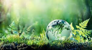 स्वच्छ वातावरणको हक सुनिश्चित गर्न आग्रह