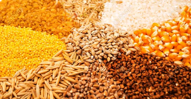 कोरोनाले छाक टार्न मुस्किल परिवारलाई खाद्यान्न