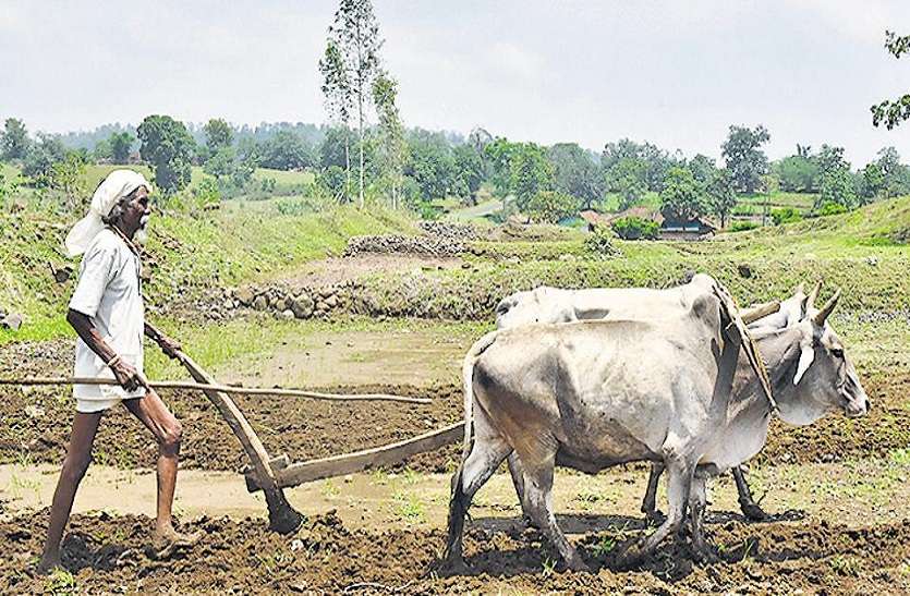 बेरोजगार किसानलाई कृषि र पशुपालनमार्फत आत्मनिर्भर बनाइने