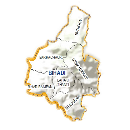 प्रदेश सरकारको प्राथमिकतामा पर्वतको बिहादीमा बिकास वजेट
