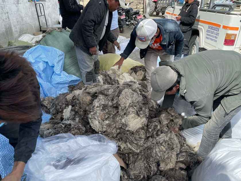 मुस्ताङी ऊनको सुनिश्चित बजार