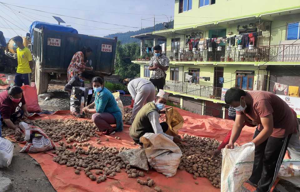 खिदिमाको आलु दिक्तेलमा