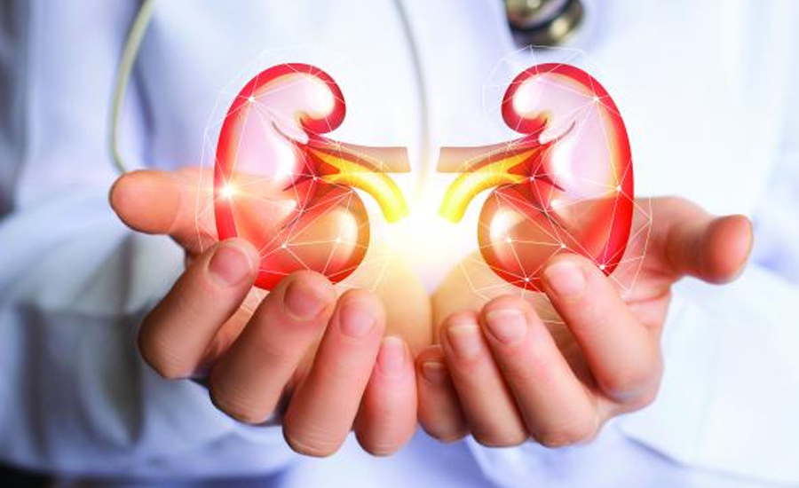 लुम्बिनी सरकारले मिर्गौला, क्यान्सर र मटु रोगीलाई रु दुई लाख सहयोग गर्ने