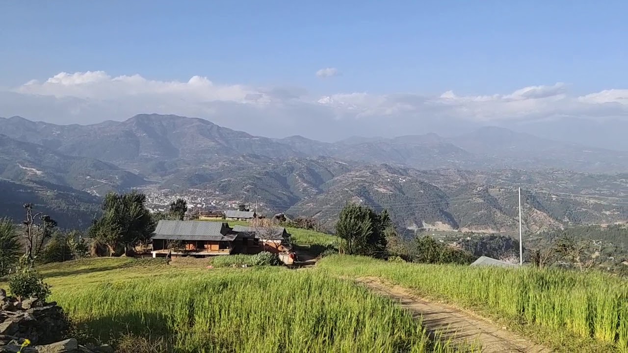 गाउँको उत्पादनमा शहरियाको मन