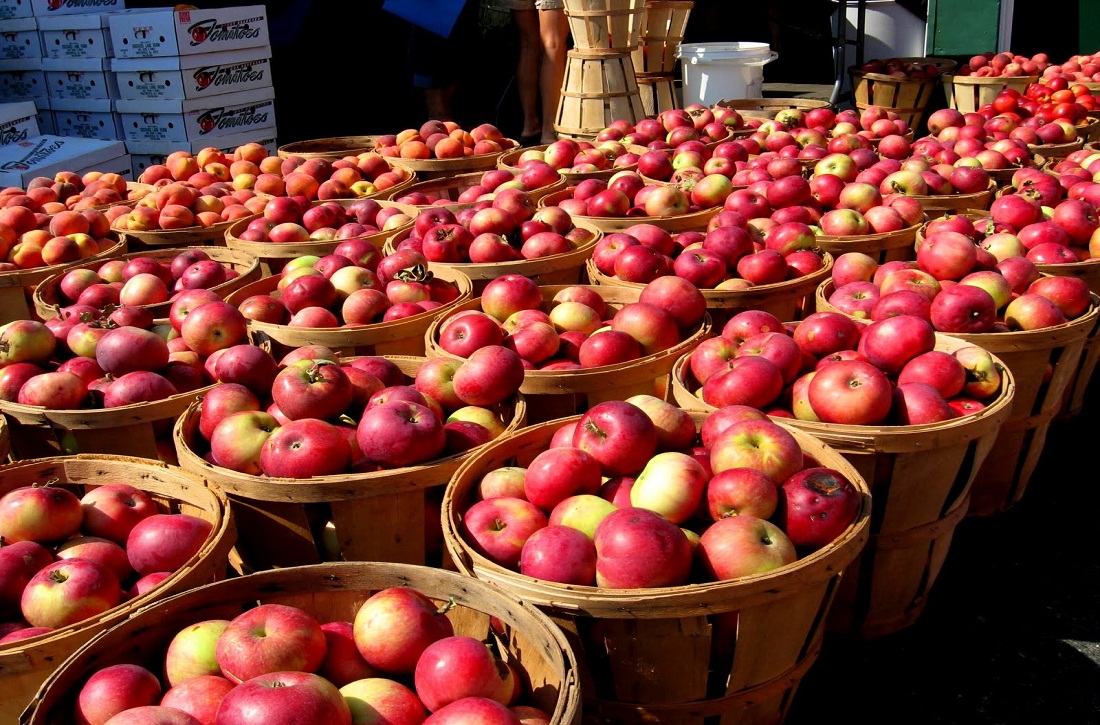 माग बढ्यो स्याउको