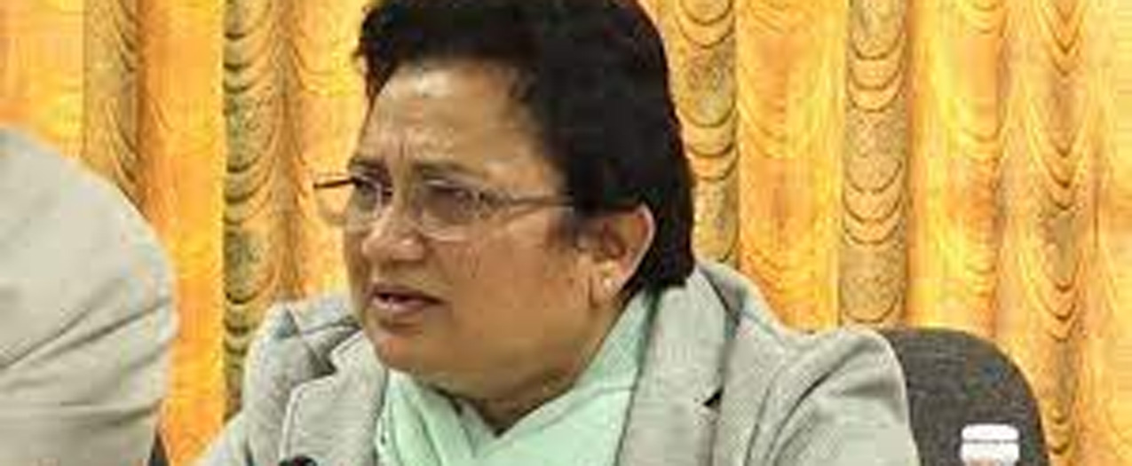 जलवायु परिवर्तनको असर सामना गर्न कठिन हुँदैछ : ऊर्जामन्त्री